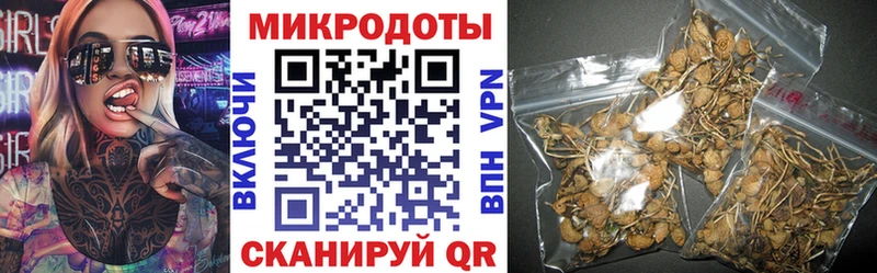Купить закладки  Ельня  Псилоцибиновые грибы Psilocybe 